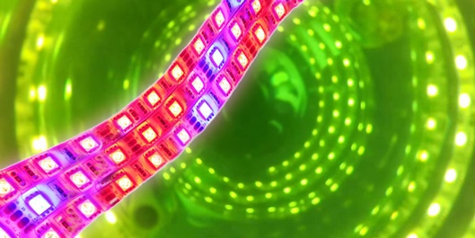 LED light source for photobioreactor